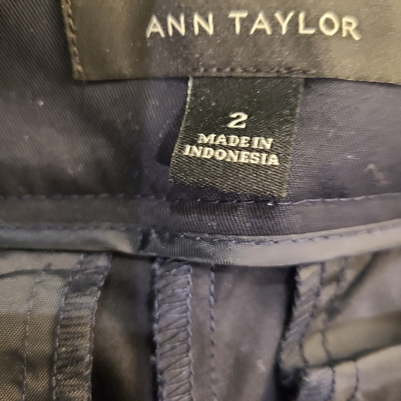 Ann Taylor Devin Pants - Picture 4 of 5